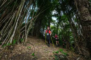 BIB: 
                            <button type="button" onclick="openModal(19395754)" class="btn btn-primary btn-sm float-right btn-popup" data-toggle="modal" data-target=".modal-high-quality">
                        <i class="fas fa-shopping-cart"></i> Add to Cart
                    </button>
                                            <button type="button" onclick="isThisMe(19395754, true)" class="btn btn-success btn-sm float-right btn-popup btn-isme hidden" data-toggle="tooltip" data-placement="bottom" title="นี่คือรูปของคุณใช่ไหม คลิกที่นี่เพื่อเอาเข้าอัลบั้ม">
                        <i class="fas fa-plus"></i> Add to album
                    </button>
                    <button type="button" onclick="isThisMe(19395754, false)" class="btn btn-warning btn-sm float-right btn-popup btn-isnotme hidden">
                        <i class="fas fa-ban"></i> Remove from album
                    </button>